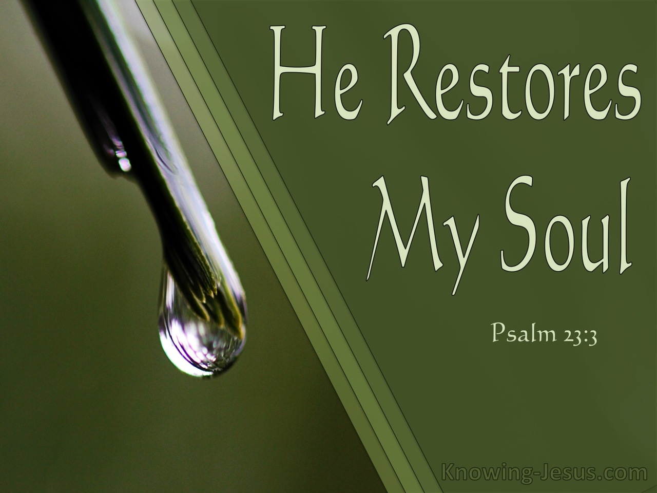 Psalm 23:3 He  Restores My Soul (sage)